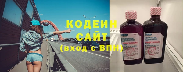 прущие грибы Арсеньев