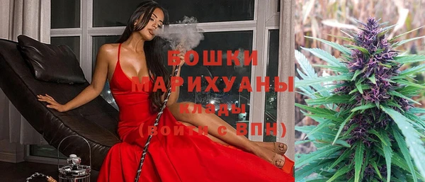 прущие грибы Арсеньев