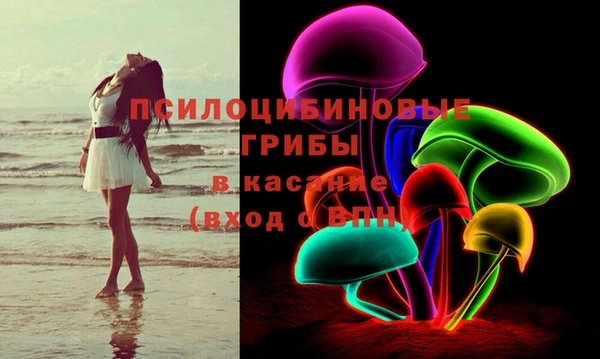 прущие грибы Арсеньев