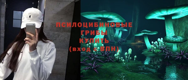 прущие грибы Арсеньев
