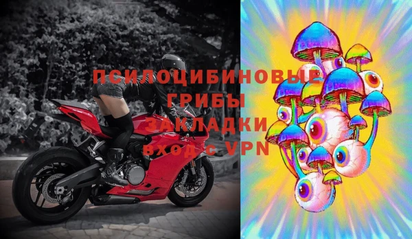 шишки Балабаново