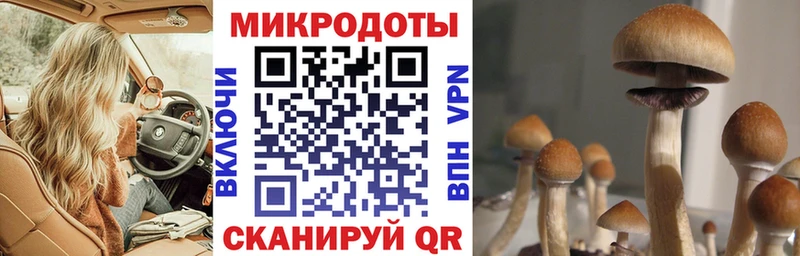 Купить  Пересвет  Галлюциногенные грибы мухоморы 